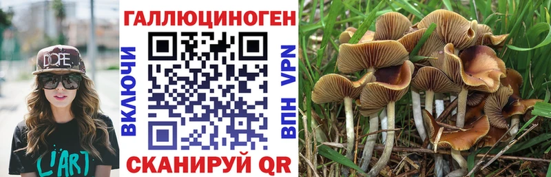 Галлюциногенные грибы MAGIC MUSHROOMS Владивосток
