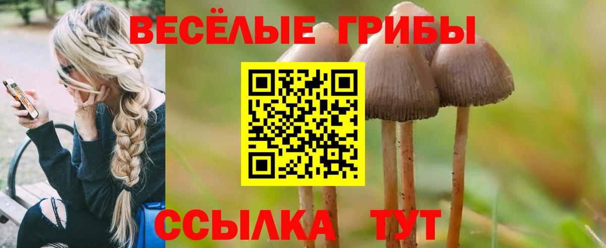 купить наркоту  Вход с VPN  Владивосток  Галлюциногенные грибы мухоморы 