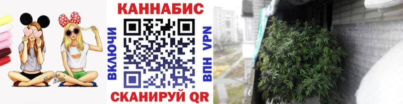 Каннабис ГИДРОПОН  ссылка на мегу вход  Владивосток 
